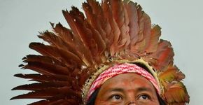 Indígena vence importante prêmio de arte contemporânea brasileira