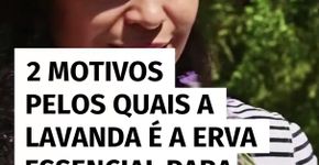 2 motivos pelos quais a lavanda é a erva essencial para ter em casa