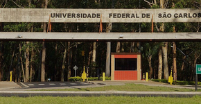 Foto: (Divulgação)