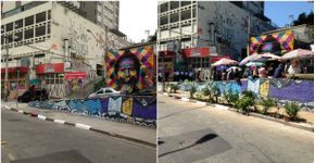 Dupla cria jardim urbano com plantas nativas na Vila Madalena