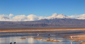 Passeios no Atacama: Lagunas Altiplânicas e Salar de Atacama