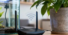 O wi-fi da sua casa pode estar fraco por culpa de espelhos ou plantas próximas a ele