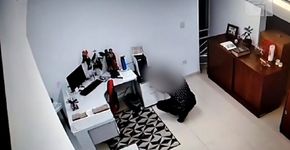 Foto: (Reprodução/G1)