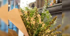 Loja faz entrega de buquês de maconha