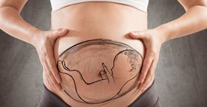 O que o bebê sente enquanto a mãe transa?