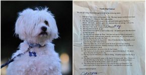 Responsabilidade: para adotar cão, pai cria contrato com filhas