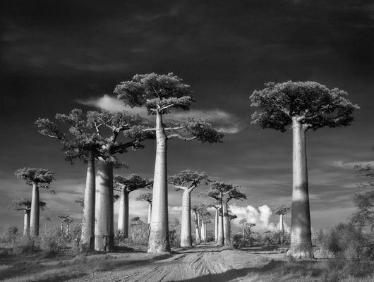 (Crédito: Beth Moon)
