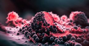 Foto: (iStock/koto_feja)
