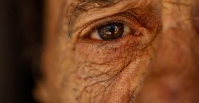 Foto: (Dusan Stankovic/istock)