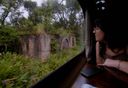 Conheça uma das viagens de trem mais lindas do mundo