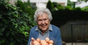 Ovo na alimentação dos idosos: veja os principais benefícios para a saúde