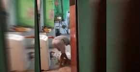 Foto: (Reprodução)
