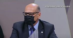 Foto: (reprodução/TV Senado)