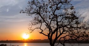 Foto: (Carlos Grillo/iStock)