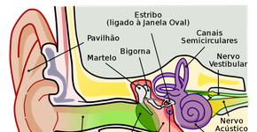 Histórias para ouvidos pequenos