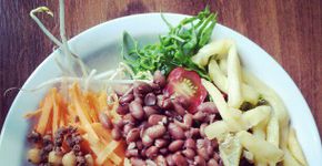 Sete vegetarianos honestos para carnívoro nenhum botar defeito
