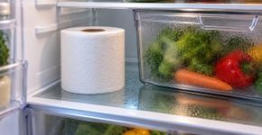 Qual a finalidade de colocar um rolo de papel higiênico dentro da geladeira e por que isso é recomendado?