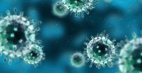 Médico esclarece mitos sobre o vírus H1N1