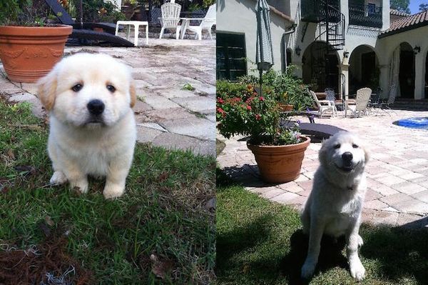 9 meses de diferença (Imagem:  Dakota2145)