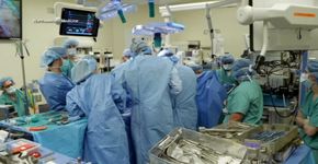 Foto: (divulgação/Northwestern Medicine)