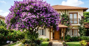 Deseja cor o ano todo no jardim? A quaresmeira floresce em qualquer estação e dizem que traz alegria para o lar