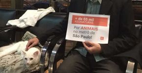 Ativista entrega petição para Metrô aceitar transporte de animais