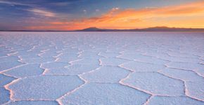 Foto: (Istock)