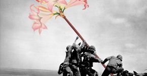 Artista substitui armas por flores em fotos históricas