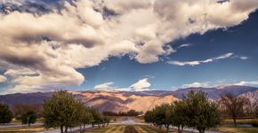 Foto: (MariaQuintian/iStock)