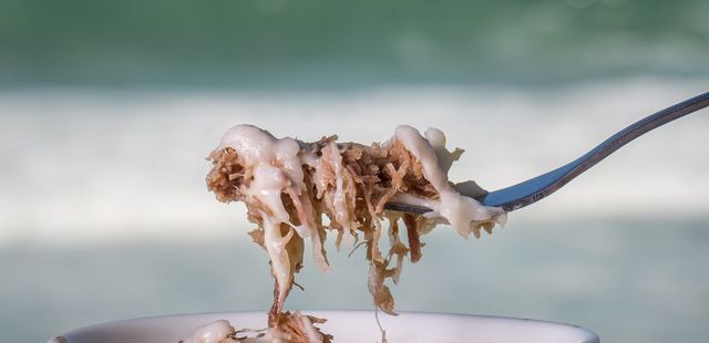 Faça um delicioso escondidinho de carne seca bem rápido