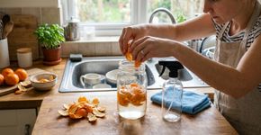 Liquidificar casca de tangerina e vinagre branco: uma combinação potente que tem uma grande utilidade para a cozinha e a limpeza