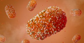 Foto: (LumerB/istock)