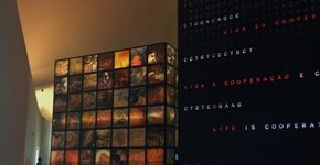 3 museus imperdíveis no Brasil, para pensar passado, presente e futuro