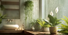 Banheiro vira um spa verde com essas plantas que adoram vapor e meia-luz