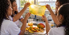 Quatro estudantes de escola pública na Bahia transformam resíduos de manga em bioplástico e conquistam prêmio científico com alternativa ao descarte da fruta