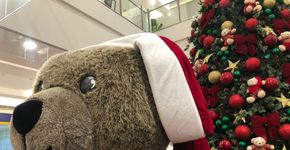 “Natal do Bem” do Golden Square Shopping traz trenzinho do Papai Noel e urso gigante instagramável