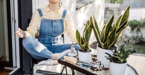 Aprenda simpatias e plantas para proteger o lar de energias negativas