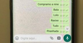 Foto: (Reprodução/WhatsApp)