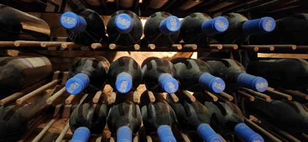 A cave onde são guardados os vinhos da família
