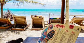 10 passeios imperdíveis para fazer em Alagoas