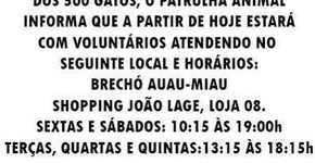 Recompensa para quem der informações sobre assassino de gatos