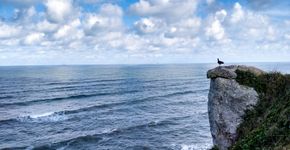 Foto: (iStock/Renan Alves)