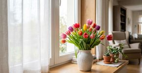 Na Holanda, para a tulipa durar anos: o macete não é a quantidade de água, mas nunca deixar o vaso no sol direto
