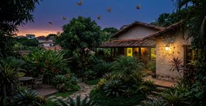 Se você avistar morcegos voando ao redor da sua casa ou jardim à noite, nós lhe diremos o que isso significa e por que é algo bom