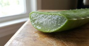 Como preparar um gel facial com babosa para revitalizar a pele e manter a aparência exuberante