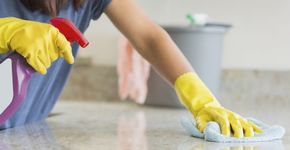 4 produtos mágicos e naturais para tirar o cheiro ruim da casa
