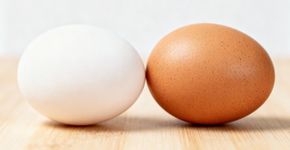 Demorei, mas aprendi: Poucas pessoas sabem a diferença entre ovos brancos e marrons