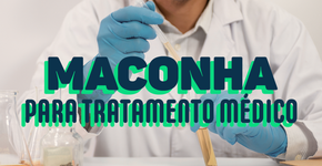 Decisão da Anvisa deve liberar a maconha medicinal no país