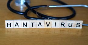 Hantavírus: infecção pode provocar impactos além do sistema respiratório