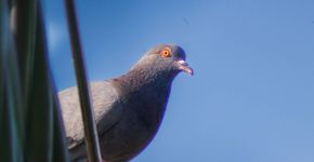 Foto: (hdythmzh mirai/istock)